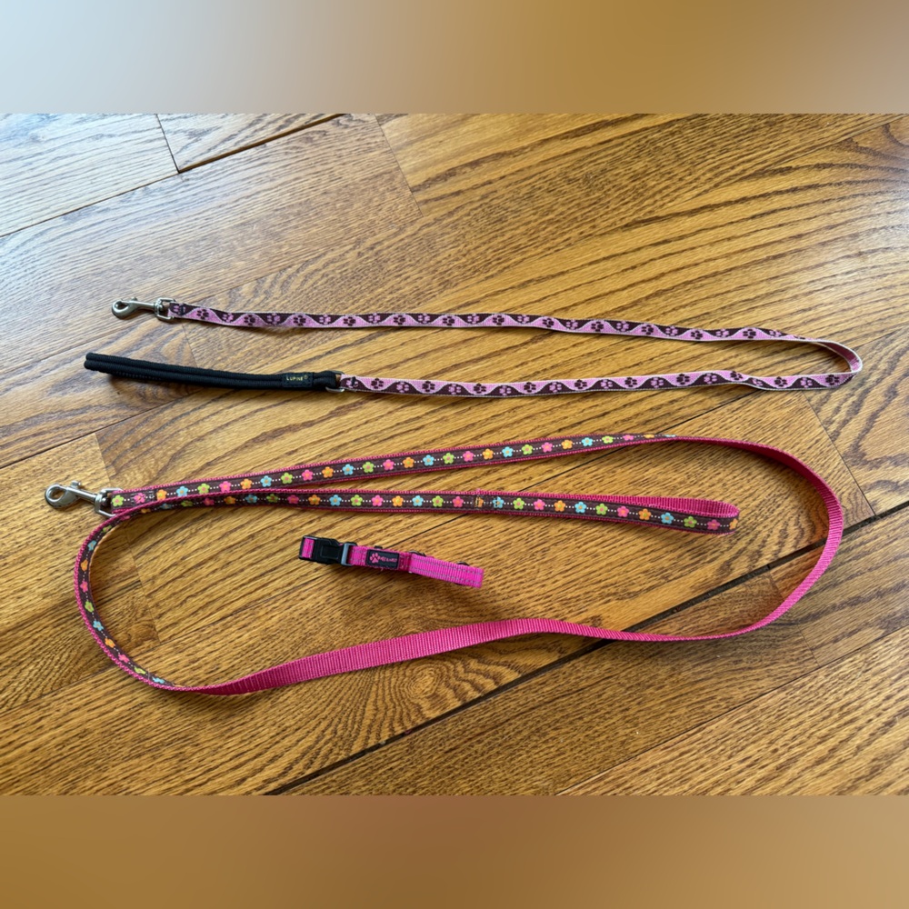 Pink Patterned Dog Leash and Collar Set